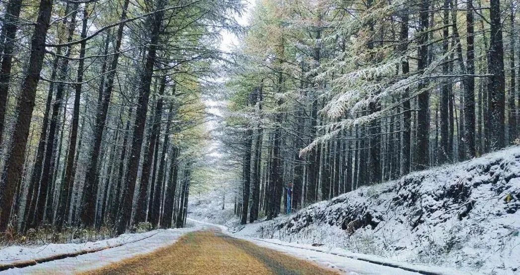 全国多地迎入秋以来第一场雪,广西这些地方有明显降雨……休闲区蓝鸢梦想 - Www.slyday.coM 全国多地迎入秋以来第一场雪,广西这些地方有明显降雨……休闲区蓝鸢梦想 - Www.slyday.coM
