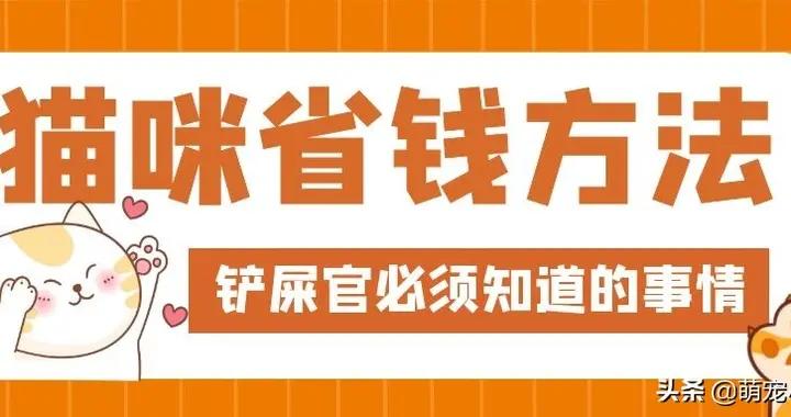 QQ同城免费服务群真的能帮你省钱吗？