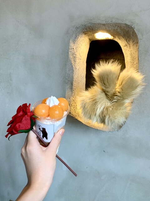 上海网红咖啡店被日本人山寨了?还美其名曰“切磋”?!休闲区蓝鸢梦想 - Www.slyday.coM 上海网红咖啡店被日本人山寨了?还美其名曰“切磋”?!休闲区蓝鸢梦想 - Www.slyday.coM