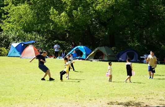 国庆7天上海“逛公园”人数攀升 全市公园共接待游客近550万人次休闲区蓝鸢梦想 - Www.slyday.coM 国庆7天上海“逛公园”人数攀升 全市公园共接待游客近550万人次休闲区蓝鸢梦想 - Www.slyday.coM