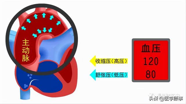 关于脑卒中,这是我看过的最清楚的科普休闲区蓝鸢梦想 - Www.slyday.coM 关于脑卒中,这是我看过的最清楚的科普休闲区蓝鸢梦想 - Www.slyday.coM