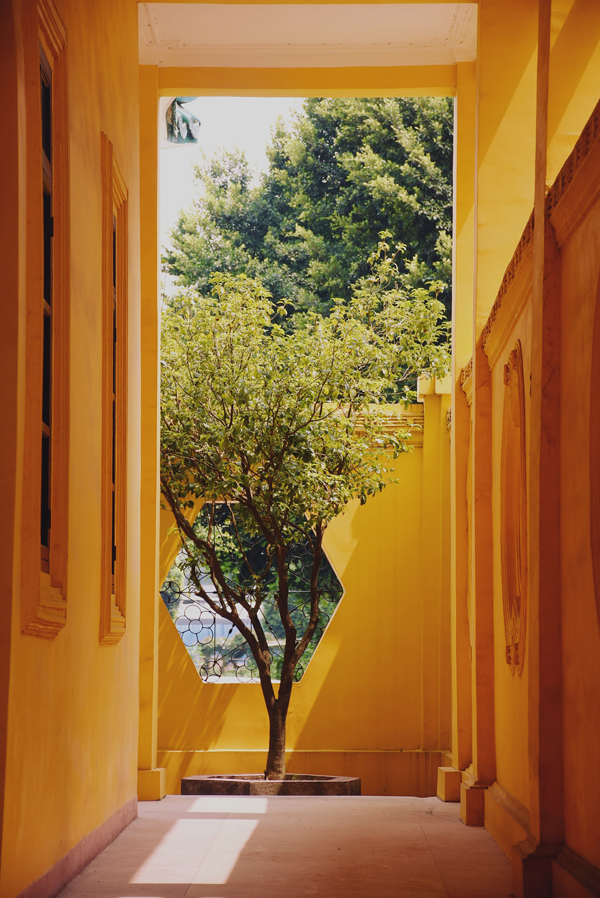 化龙文物志⑦休闲区蓝鸢梦想 - Www.slyday.coM 化龙文物志⑦休闲区蓝鸢梦想 - Www.slyday.coM