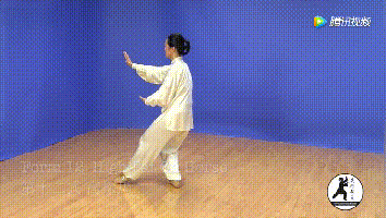 24式太极拳背向动图全解收藏学习