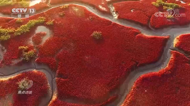 焦点访谈丨COP15来了!为什么选择云南?鸟儿也在用翅膀为这里点赞……休闲区蓝鸢梦想 - Www.slyday.coM 焦点访谈丨COP15来了!为什么选择云南?鸟儿也在用翅膀为这里点赞……休闲区蓝鸢梦想 - Www.slyday.coM