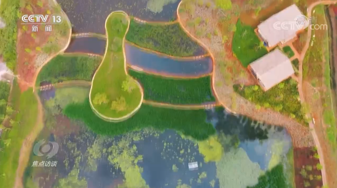 焦点访谈丨COP15来了!为什么选择云南?鸟儿也在用翅膀为这里点赞……休闲区蓝鸢梦想 - Www.slyday.coM 焦点访谈丨COP15来了!为什么选择云南?鸟儿也在用翅膀为这里点赞……休闲区蓝鸢梦想 - Www.slyday.coM