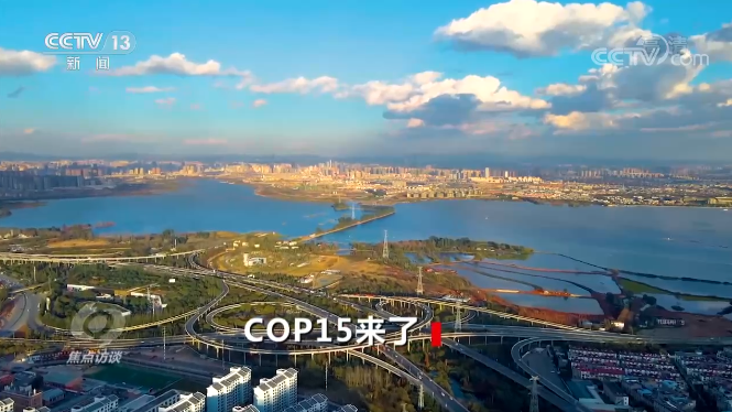 焦点访谈丨COP15来了!为什么选择云南?鸟儿也在用翅膀为这里点赞……休闲区蓝鸢梦想 - Www.slyday.coM 焦点访谈丨COP15来了!为什么选择云南?鸟儿也在用翅膀为这里点赞……休闲区蓝鸢梦想 - Www.slyday.coM