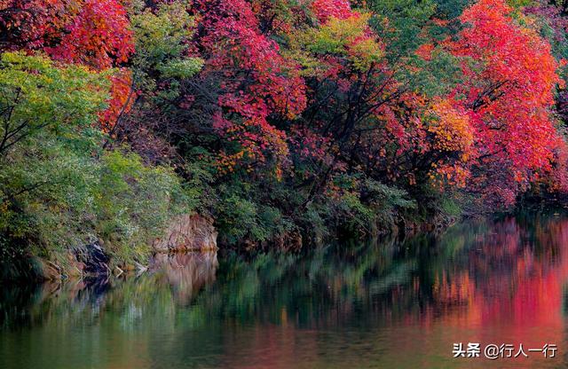 河南的秋天,一定要去的10个景区,尤其最后2个,爱旅游的都知道休闲区蓝鸢梦想 - Www.slyday.coM 河南的秋天,一定要去的10个景区,尤其最后2个,爱旅游的都知道休闲区蓝鸢梦想 - Www.slyday.coM
