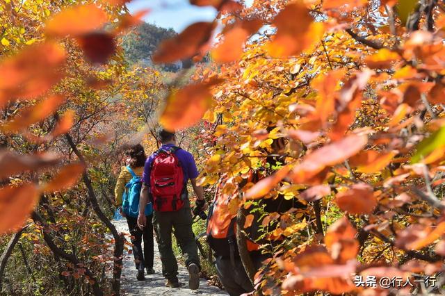 河南的秋天,一定要去的10个景区,尤其最后2个,爱旅游的都知道休闲区蓝鸢梦想 - Www.slyday.coM 河南的秋天,一定要去的10个景区,尤其最后2个,爱旅游的都知道休闲区蓝鸢梦想 - Www.slyday.coM