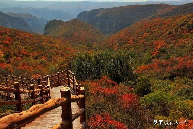 河南的秋天,一定要去的10个景区,尤其最后2个,爱旅游的都知道休闲区蓝鸢梦想 - Www.slyday.coM 河南的秋天,一定要去的10个景区,尤其最后2个,爱旅游的都知道休闲区蓝鸢梦想 - Www.slyday.coM