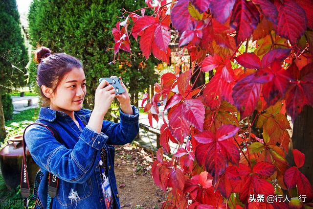 河南的秋天,一定要去的10个景区,尤其最后2个,爱旅游的都知道休闲区蓝鸢梦想 - Www.slyday.coM 河南的秋天,一定要去的10个景区,尤其最后2个,爱旅游的都知道休闲区蓝鸢梦想 - Www.slyday.coM