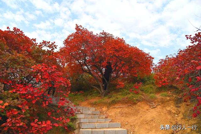 河南的秋天,一定要去的10个景区,尤其最后2个,爱旅游的都知道休闲区蓝鸢梦想 - Www.slyday.coM 河南的秋天,一定要去的10个景区,尤其最后2个,爱旅游的都知道休闲区蓝鸢梦想 - Www.slyday.coM