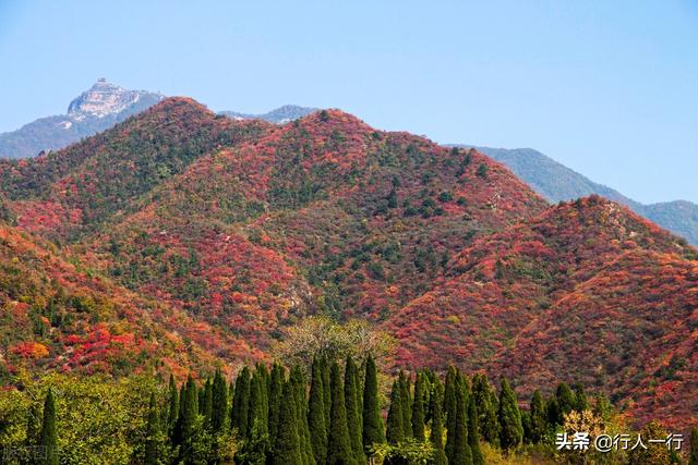 河南的秋天,一定要去的10个景区,尤其最后2个,爱旅游的都知道休闲区蓝鸢梦想 - Www.slyday.coM 河南的秋天,一定要去的10个景区,尤其最后2个,爱旅游的都知道休闲区蓝鸢梦想 - Www.slyday.coM