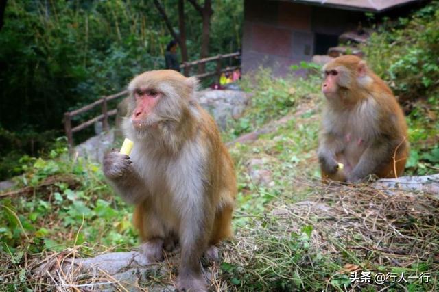 河南的秋天,一定要去的10个景区,尤其最后2个,爱旅游的都知道休闲区蓝鸢梦想 - Www.slyday.coM 河南的秋天,一定要去的10个景区,尤其最后2个,爱旅游的都知道休闲区蓝鸢梦想 - Www.slyday.coM