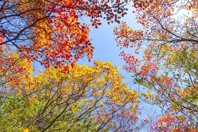 河南的秋天,一定要去的10个景区,尤其最后2个,爱旅游的都知道休闲区蓝鸢梦想 - Www.slyday.coM 河南的秋天,一定要去的10个景区,尤其最后2个,爱旅游的都知道休闲区蓝鸢梦想 - Www.slyday.coM