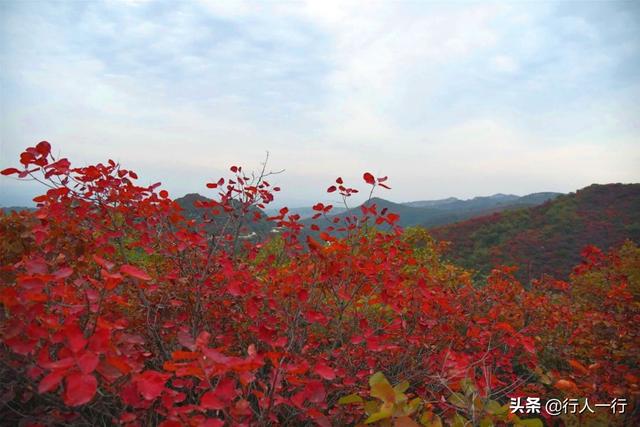 河南的秋天,一定要去的10个景区,尤其最后2个,爱旅游的都知道休闲区蓝鸢梦想 - Www.slyday.coM 河南的秋天,一定要去的10个景区,尤其最后2个,爱旅游的都知道休闲区蓝鸢梦想 - Www.slyday.coM