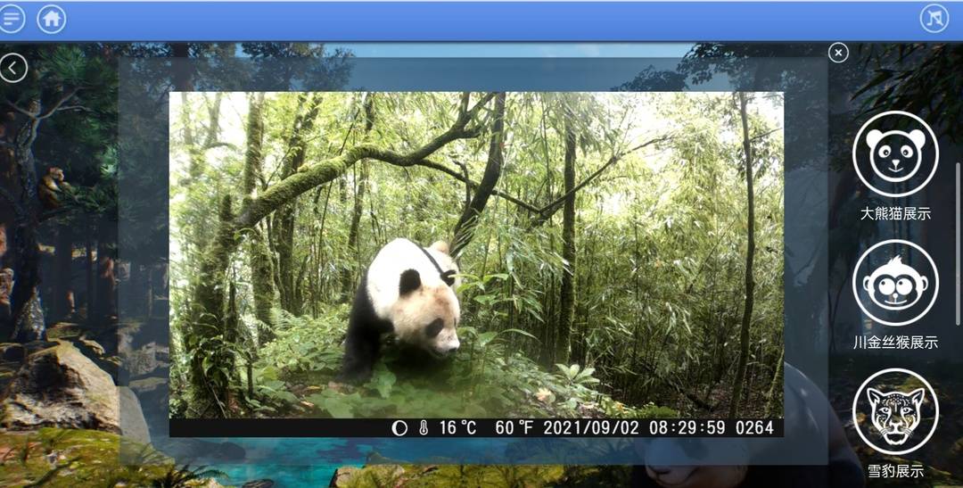 “川味绿”亮相COP15大会 四川“展厅”里都有哪些亮点?休闲区蓝鸢梦想 - Www.slyday.coM “川味绿”亮相COP15大会 四川“展厅”里都有哪些亮点?休闲区蓝鸢梦想 - Www.slyday.coM