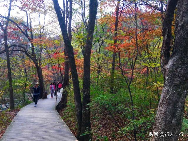 河南的秋天,一定要去的10个景区,尤其最后2个,爱旅游的都知道休闲区蓝鸢梦想 - Www.slyday.coM 河南的秋天,一定要去的10个景区,尤其最后2个,爱旅游的都知道休闲区蓝鸢梦想 - Www.slyday.coM