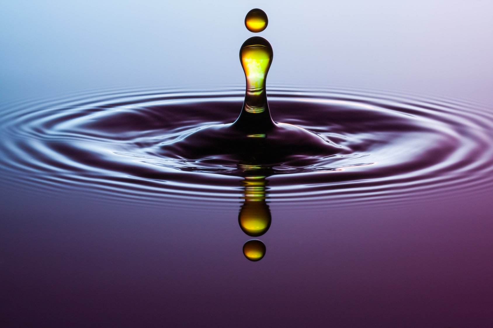 前8个月,俄罗斯的资本外流数量升至510亿美元, 是2019年的2倍休闲区蓝鸢梦想 - Www.slyday.coM 前8个月,俄罗斯的资本外流数量升至510亿美元, 是2019年的2倍休闲区蓝鸢梦想 - Www.slyday.coM