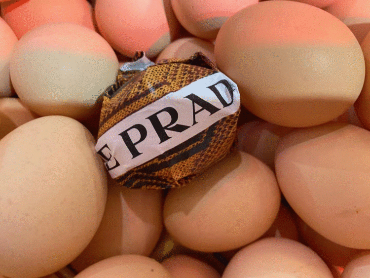 现实版“买椟还珠”!上海Prada菜场外,女子一个举动让人瞠目结舌!休闲区蓝鸢梦想 - Www.slyday.coM 现实版“买椟还珠”!上海Prada菜场外,女子一个举动让人瞠目结舌!休闲区蓝鸢梦想 - Www.slyday.coM