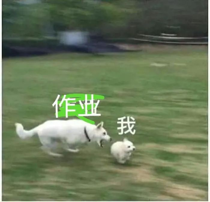 苏州一爸爸辅导女儿被逼疯!躺马路哭求民警拘留......休闲区蓝鸢梦想 - Www.slyday.coM 苏州一爸爸辅导女儿被逼疯!躺马路哭求民警拘留......休闲区蓝鸢梦想 - Www.slyday.coM