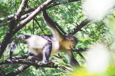 联合国生物多样性大会在昆明开幕休闲区蓝鸢梦想 - Www.slyday.coM 联合国生物多样性大会在昆明开幕休闲区蓝鸢梦想 - Www.slyday.coM