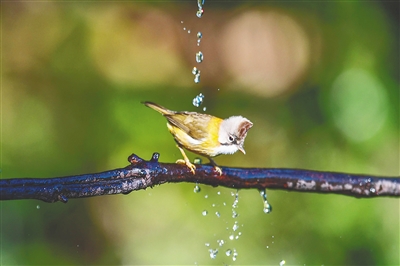 联合国生物多样性大会在昆明开幕休闲区蓝鸢梦想 - Www.slyday.coM 联合国生物多样性大会在昆明开幕休闲区蓝鸢梦想 - Www.slyday.coM
