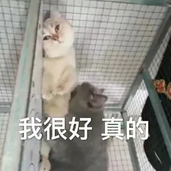 苏州一爸爸辅导女儿被逼疯!躺马路哭求民警拘留......休闲区蓝鸢梦想 - Www.slyday.coM 苏州一爸爸辅导女儿被逼疯!躺马路哭求民警拘留......休闲区蓝鸢梦想 - Www.slyday.coM