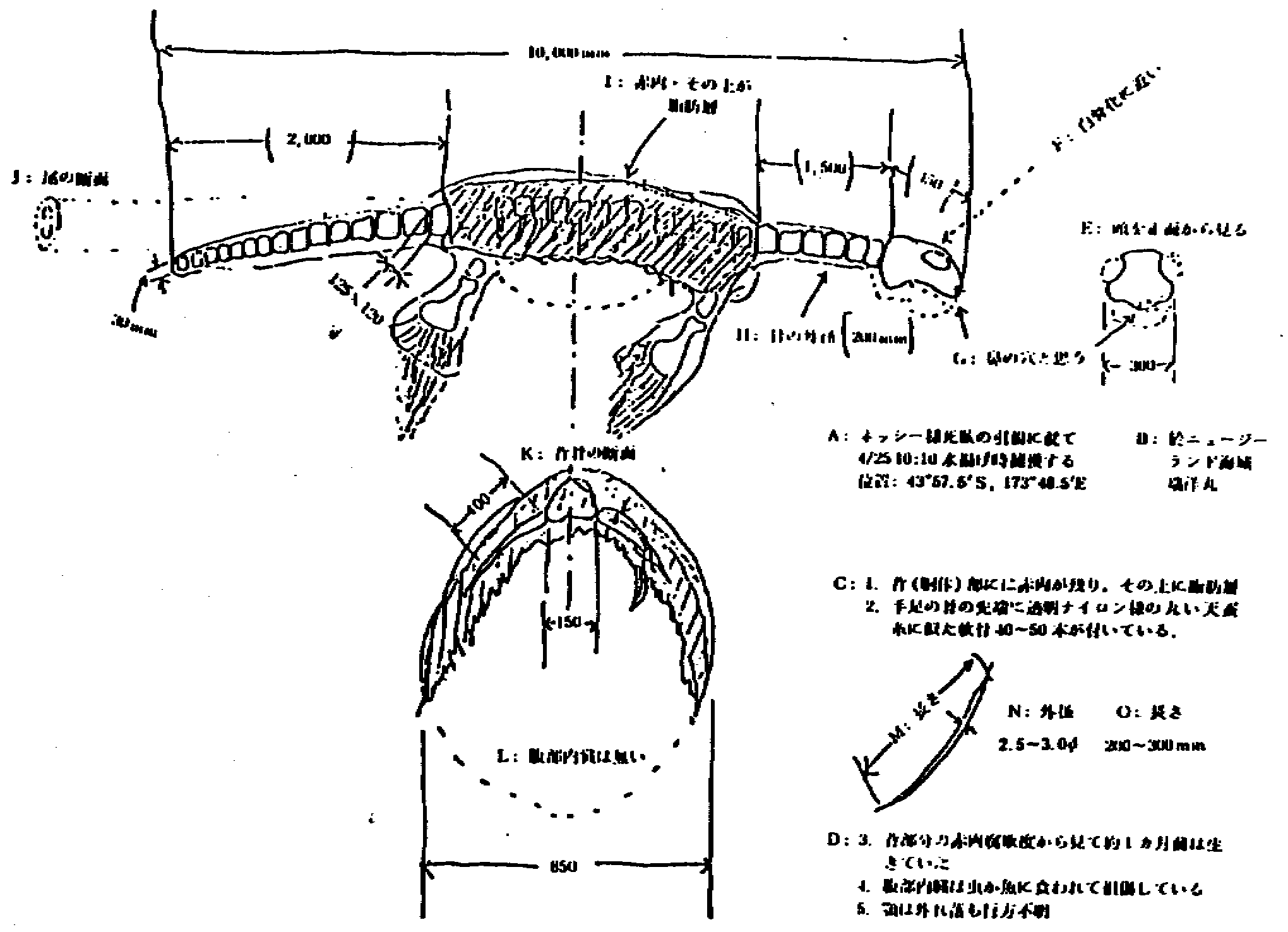 1977年，<a href=