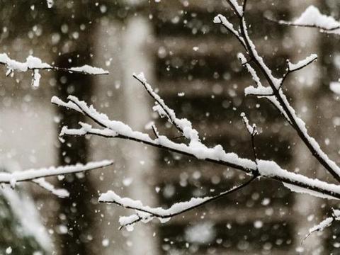 速冻式降温！你的爱车准备好了吗？