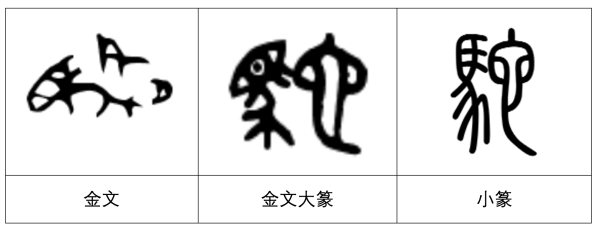 图2:"驼"字的字体演变