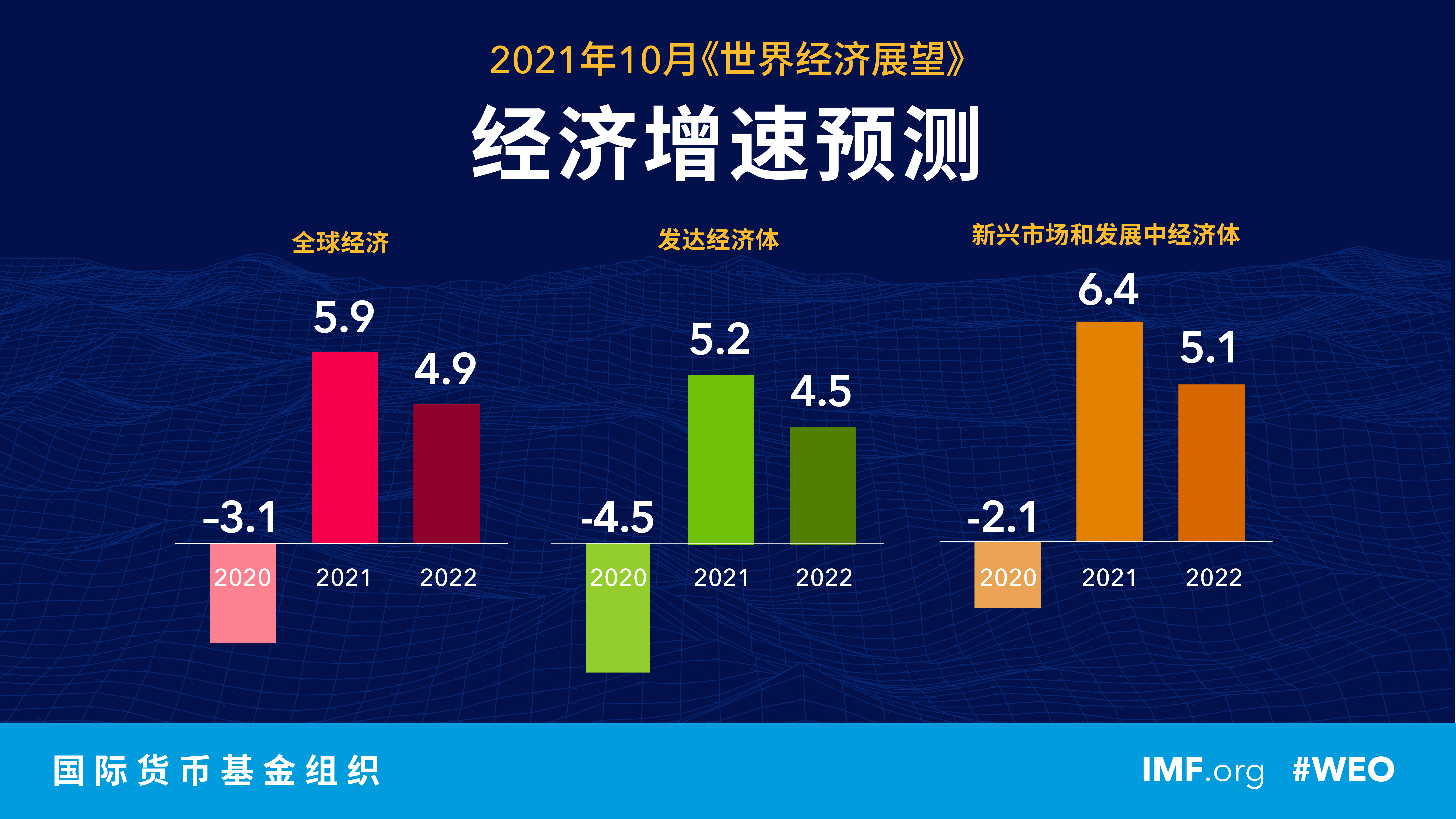 图自IMF网站