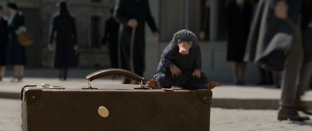 《神奇动物在哪里3》复工标题暗示朱雀神兽?中国魔法部不远了!休闲区蓝鸢梦想 - Www.slyday.coM 《神奇动物在哪里3》复工标题暗示朱雀神兽?中国魔法部不远了!休闲区蓝鸢梦想 - Www.slyday.coM