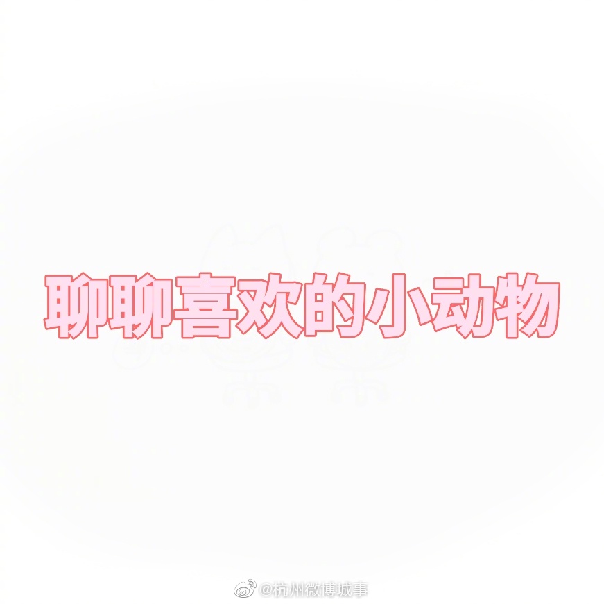 你们喜欢什么小动物呀？小杭杭喜欢<a href=
