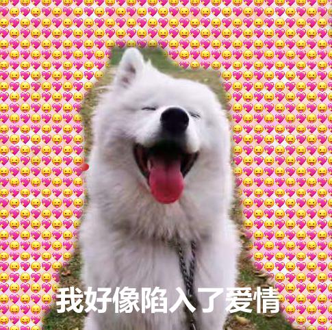 男子网恋转账203次,花光8万多元!“女友”竟是抠脚大汉休闲区蓝鸢梦想 - Www.slyday.coM 男子网恋转账203次,花光8万多元!“女友”竟是抠脚大汉休闲区蓝鸢梦想 - Www.slyday.coM