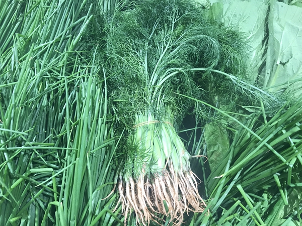 身边财经休闲区蓝鸢梦想 - Www.slyday.coM 身边财经休闲区蓝鸢梦想 - Www.slyday.coM