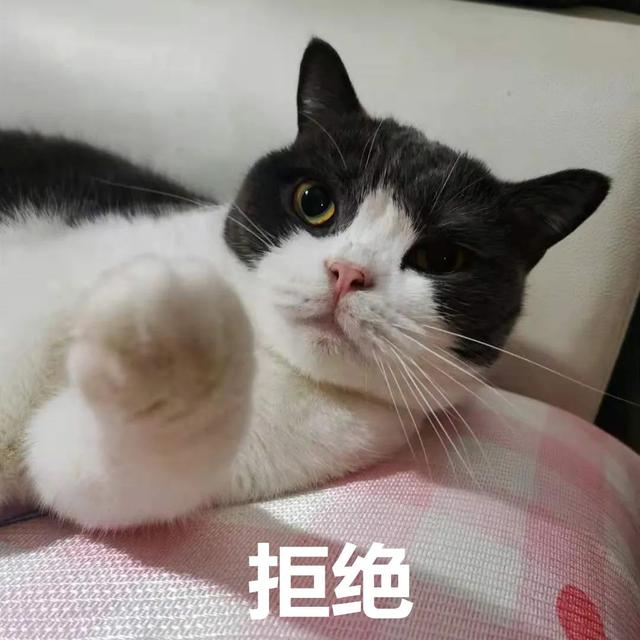 男子网恋转账203次,花光8万多元!“女友”竟是抠脚大汉休闲区蓝鸢梦想 - Www.slyday.coM 男子网恋转账203次,花光8万多元!“女友”竟是抠脚大汉休闲区蓝鸢梦想 - Www.slyday.coM