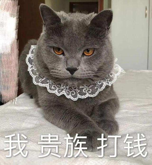 男子网恋转账203次,花光8万多元!“女友”竟是抠脚大汉休闲区蓝鸢梦想 - Www.slyday.coM 男子网恋转账203次,花光8万多元!“女友”竟是抠脚大汉休闲区蓝鸢梦想 - Www.slyday.coM