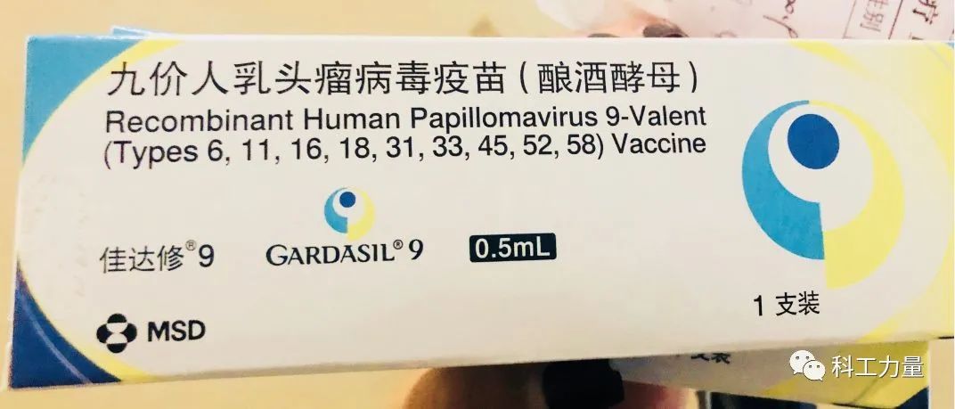 默沙东在国内首次公示启动一项 期临床,评价九价人乳头瘤病毒疫苗