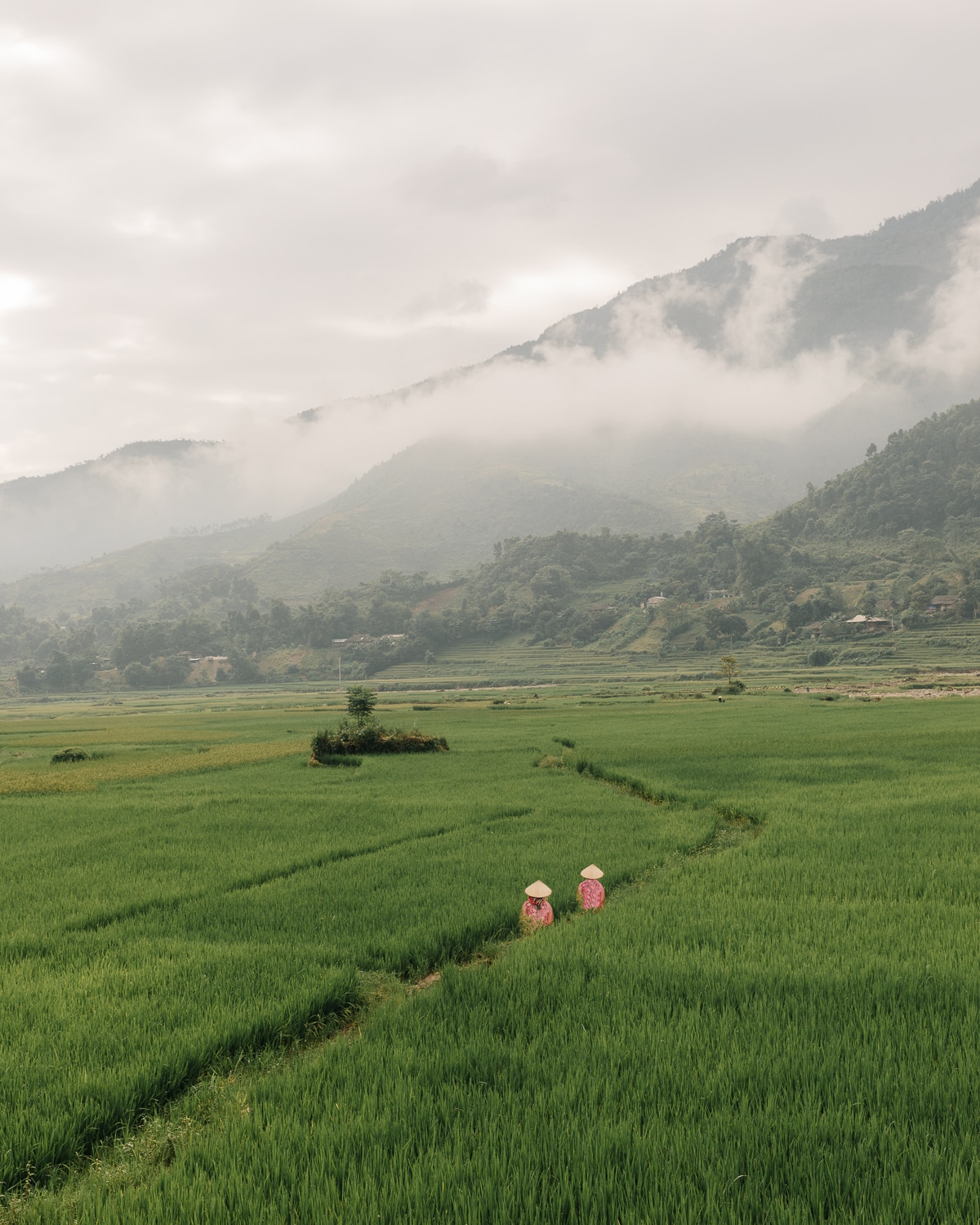 比利时摄影师拍摄的越南  好漂亮的地方