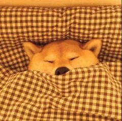 下半年最强冷空气来袭!最低气温降幅达9~10℃,预计苏州16日入秋!休闲区蓝鸢梦想 - Www.slyday.coM 下半年最强冷空气来袭!最低气温降幅达9~10℃,预计苏州16日入秋!休闲区蓝鸢梦想 - Www.slyday.coM