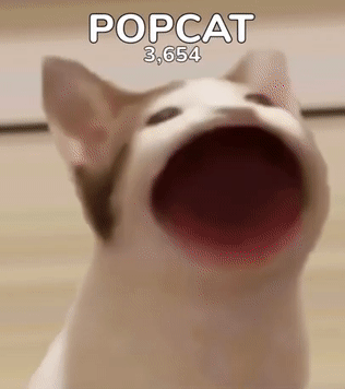 这只在表情包界颇有地位的猫,被称作"啵啵猫",或者"pop猫",在国外网友