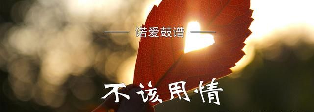 《不该用情》这首歌是张学友演唱的吗?国语版本的叫什么名字?-不该用情是张学友哪一年唱的