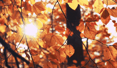 洛阳市所辖各县(区)最低气温 将下降8度或以上 今天凌晨 洛阳白云山