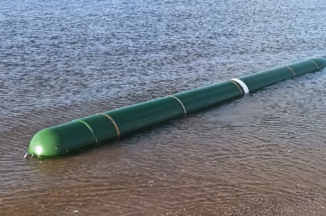 意外发现“鱼雷”，<a href=