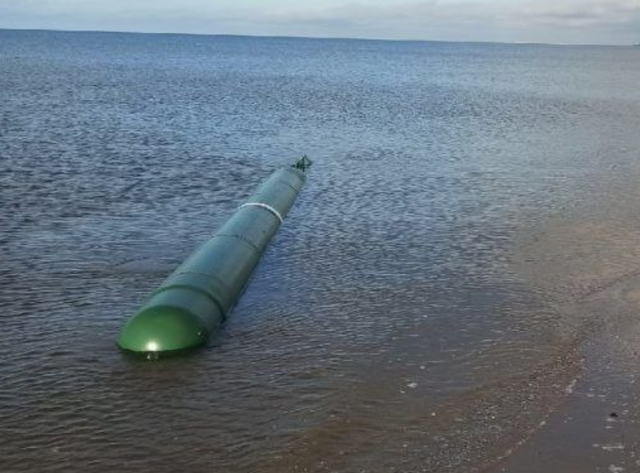 意外发现“鱼雷”，<a href=