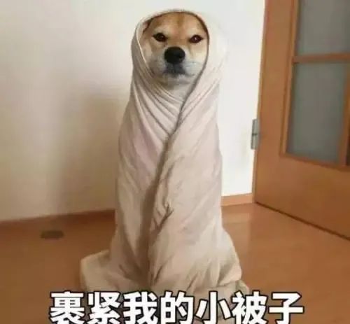 一夜入冬?北京气温跌破0℃,为南郊观象台52年来同期最低值休闲区蓝鸢梦想 - Www.slyday.coM 一夜入冬?北京气温跌破0℃,为南郊观象台52年来同期最低值休闲区蓝鸢梦想 - Www.slyday.coM