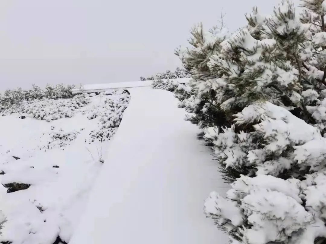 跌至7合肥一夜入冬0102全国这些地方下雪了合肥早新闻