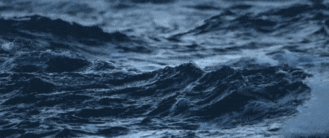 秋天一起去看海好吗