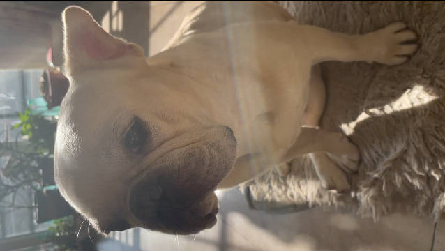 经营信任是核心