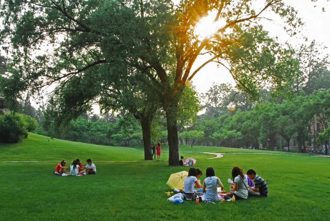 清华大学:神奇校园在这里!